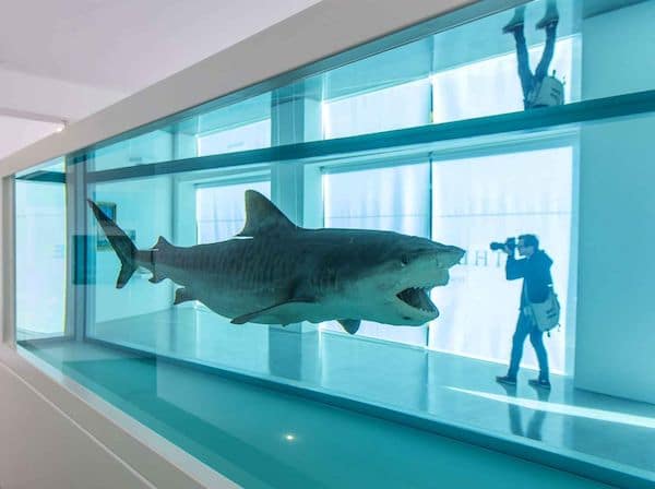 Tableau contemporain Rencontre avec un requin