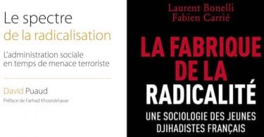 Laurent Bonelli et Fabien Carrié, La fabrique de la radicalité. Une sociologie des jihadistes français Radicalisation