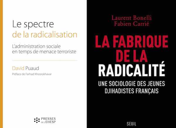 Laurent Bonelli et Fabien Carrié, La fabrique de la radicalité. Une sociologie des jihadistes français Radicalisation En attendant Nadeau