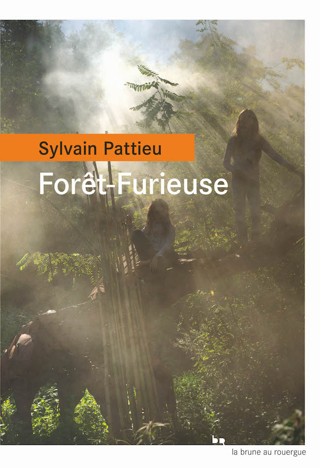 Sylvain Pattieu, Forêt-Furieuse