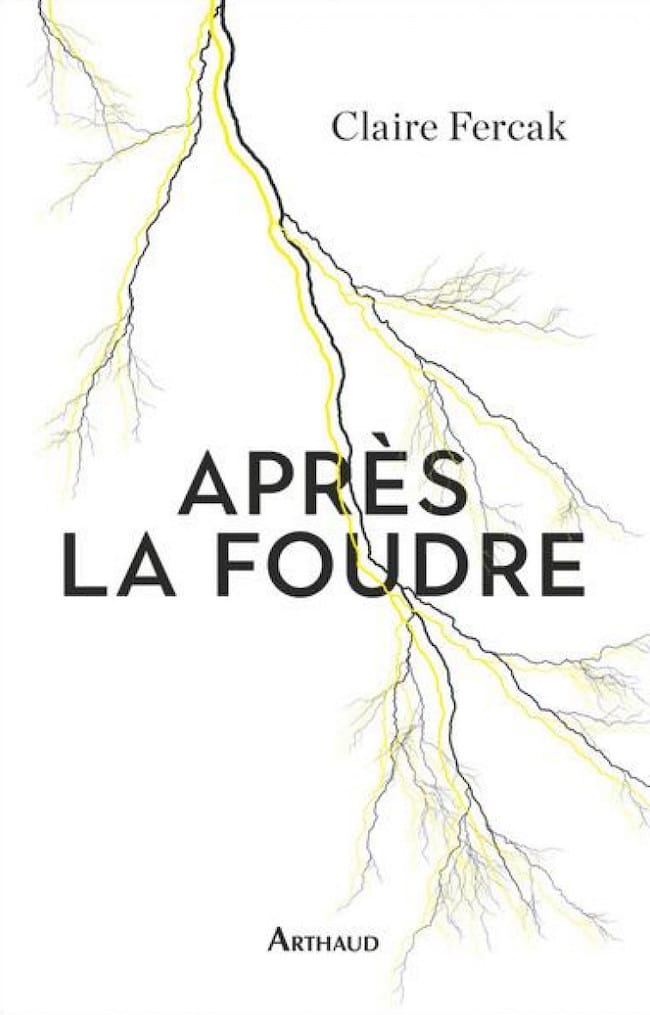 Après la foudre, de Claire Fercak : poétique de la foudre