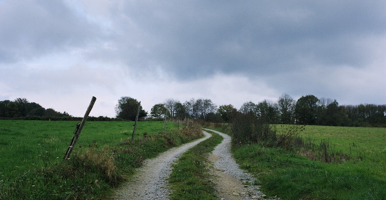 Édith de la Héronnière, Jan Synowiecki : chemins et jardins