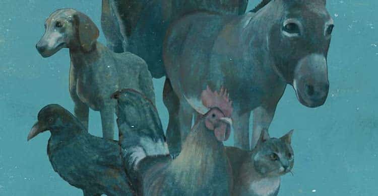 Bestiaire, de Miguel Torga : les animaux, nos frères