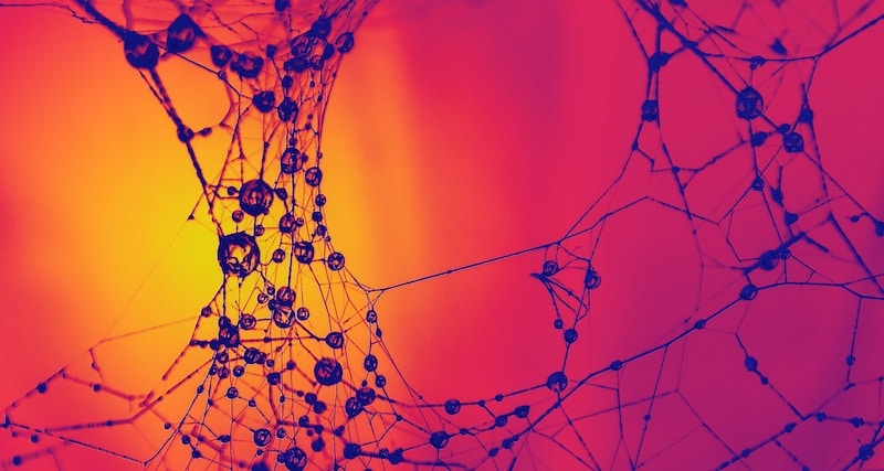 Illustration de synapse pour Yann Le Cun, Quand la machine apprend