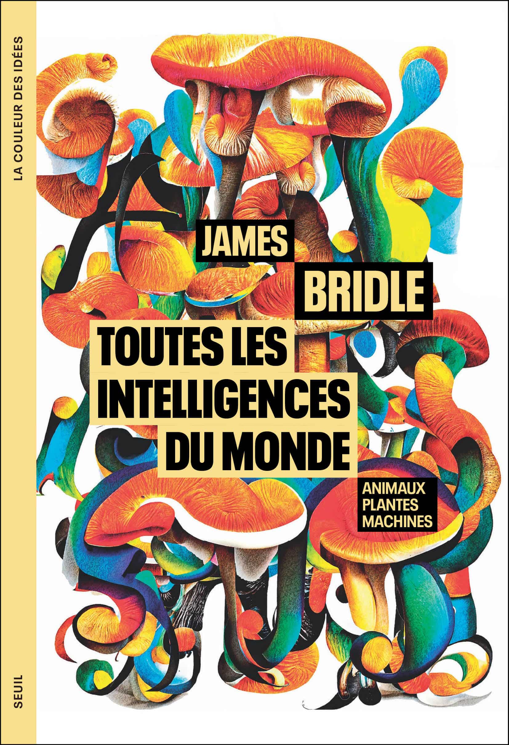 Couverture James Bridle, Toutes les intelligences du monde