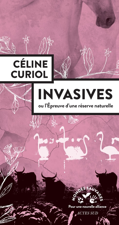 Céline Curiol Invasives