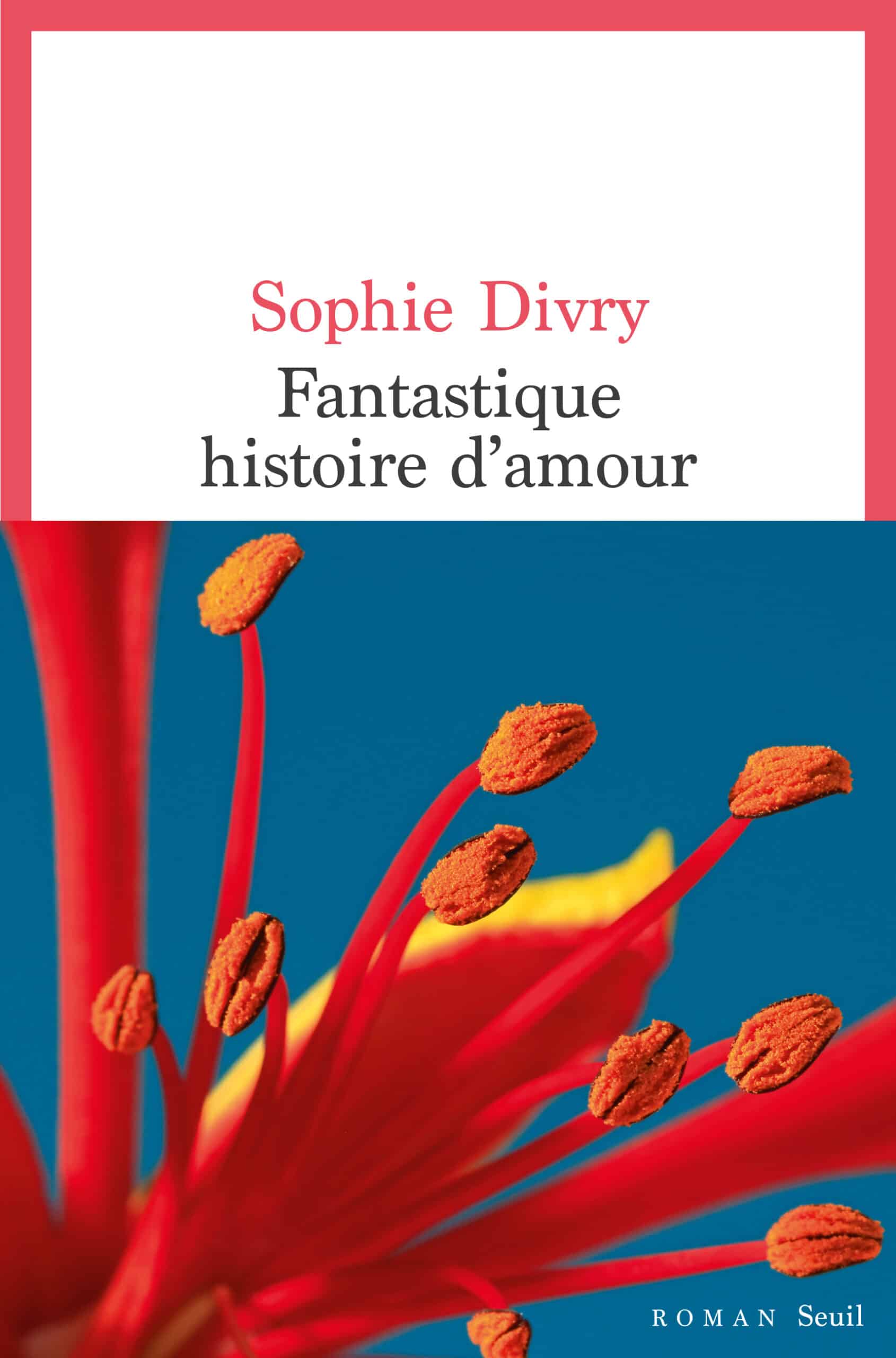 Sophie Divry, Fantastique histoire d’amour