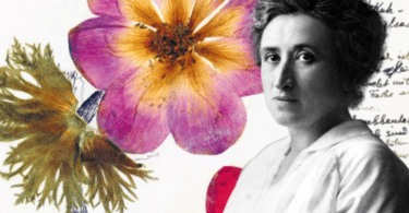 Rosa Luxemburg : Herbier de prison 1915-1918