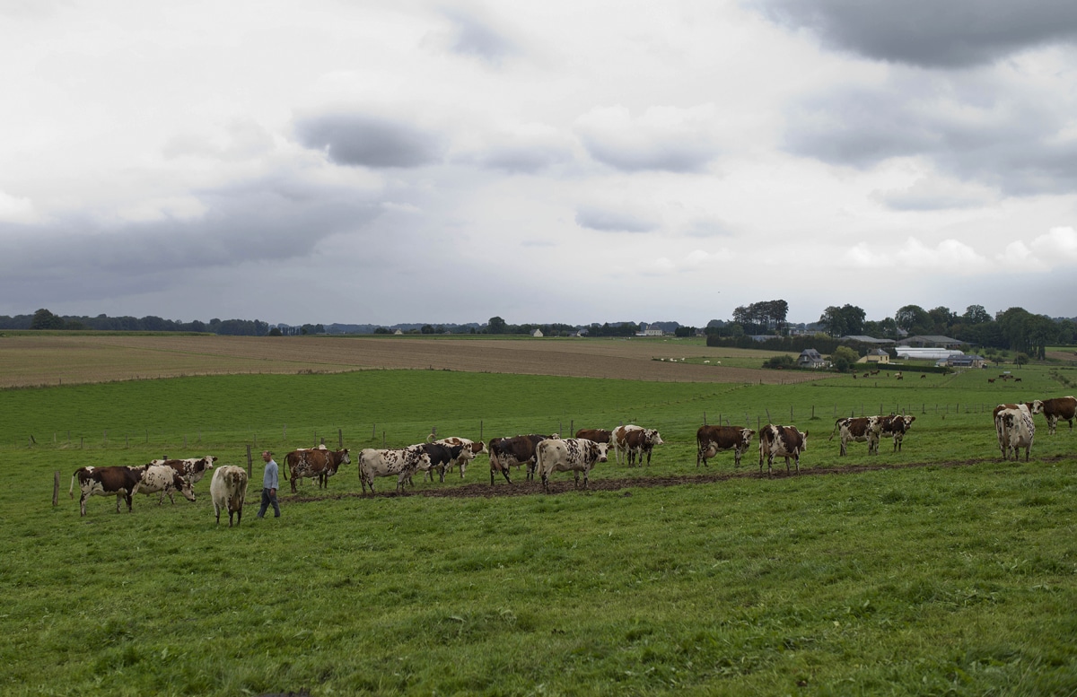 Slimane TOUHAMI, Les Princes de Cocagne, éd. du Réveil, 110 p., 12 € Juliette ROUSSEAU, Péquenaude, Cambourakis, 130 p., 16 € Jean-Noël JOUZE et Giovanni PRETE, L'agriculture empoisonnée, Le long combat des victimes des pesticides, Presses de Sciences Po, 286 p., 24 € Geneviève PRUVOST, La subsistance au quotidien, Conter ce qui compte, La Découverte, 494 p., 28 €   Jean FOYER, Les êtres de la vigne, Enquête dans les mondes de la biodynamie