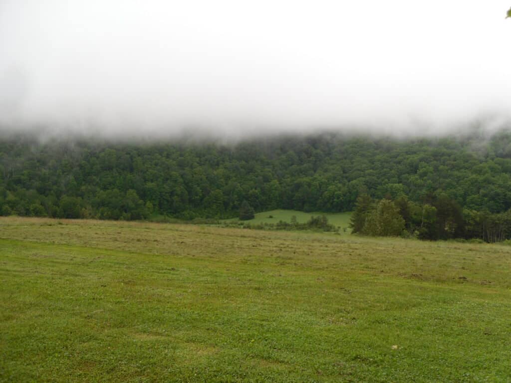 Entre les collines hantées de Maurice Mourier Vermont