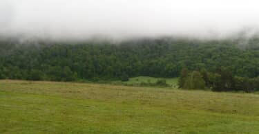 Entre les collines hantées de Maurice Mourier Vermont